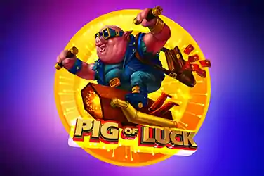 Pig of Luck